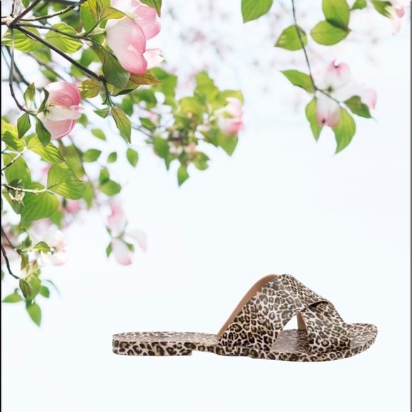 Open Toe Jelly Sandals Leopard Print Qupid - Picture 2 of 4